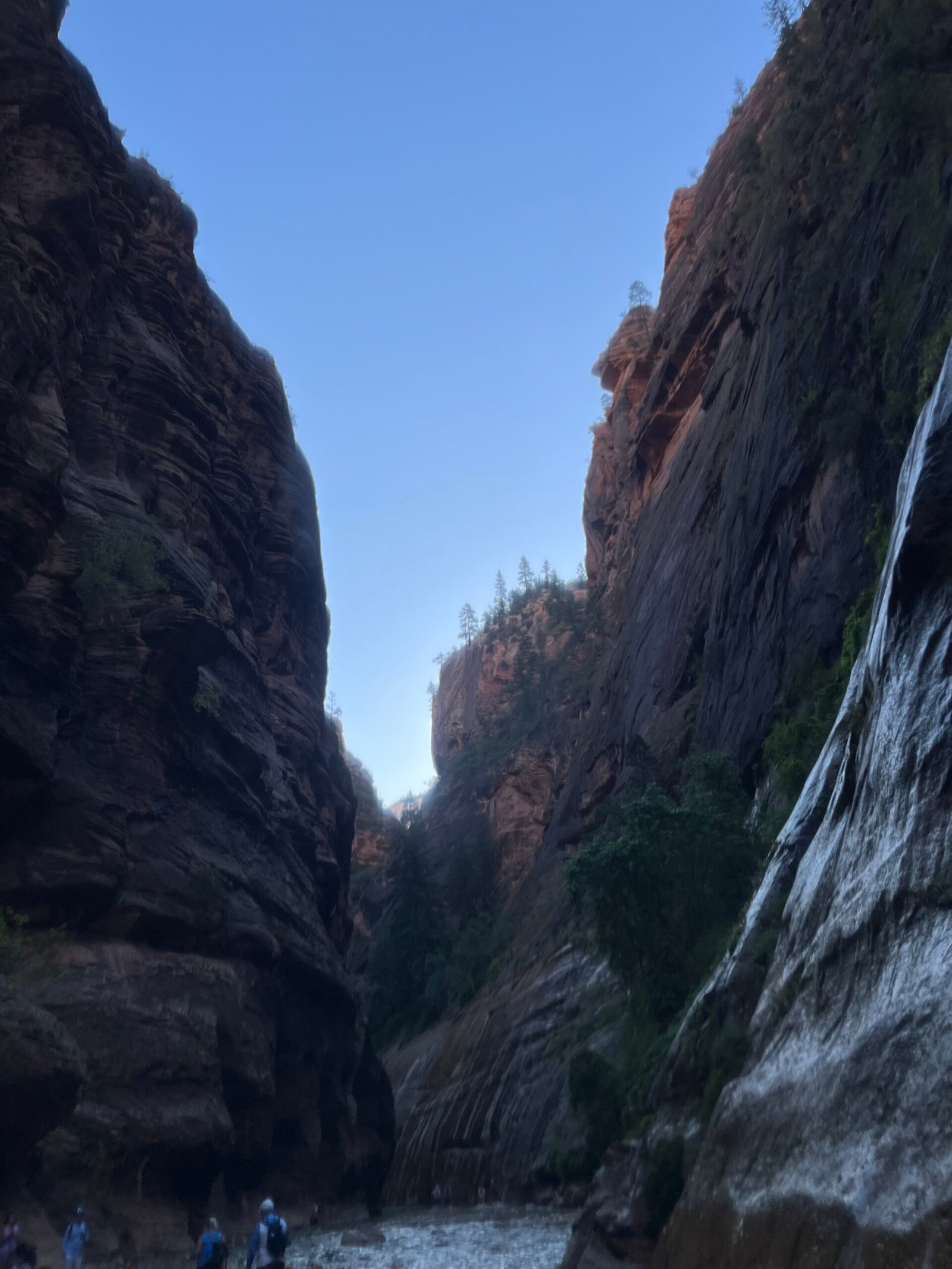 Zion National Park The Narrows 가족 하이킹 후기 | 버진 리버를 걷다