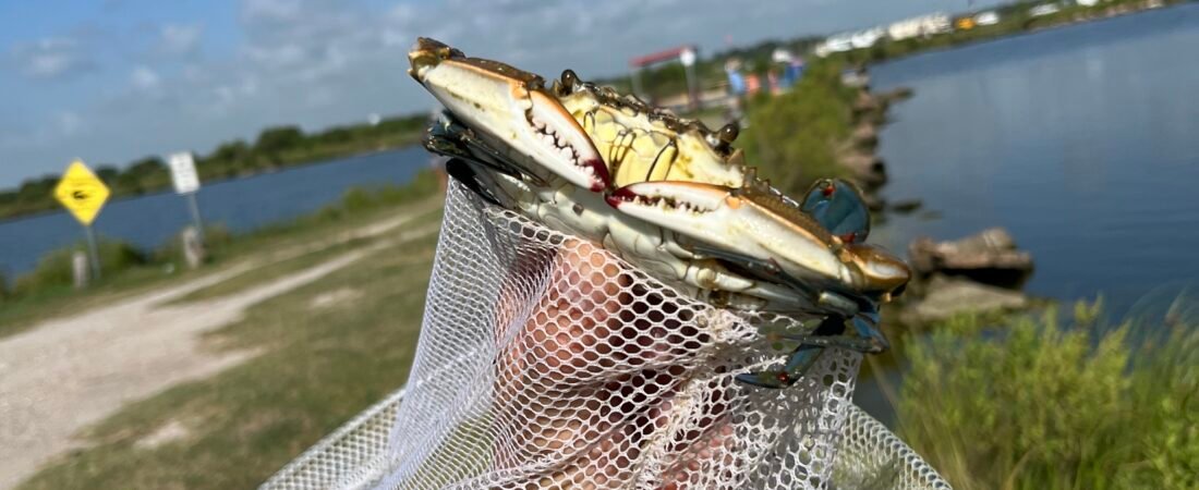 휴스턴 근교에서 아이들과 블루크랩 잡기: Clear Lake Park Fishing Pier, 그리고 Mac McGaffey Highland Bayou Park
