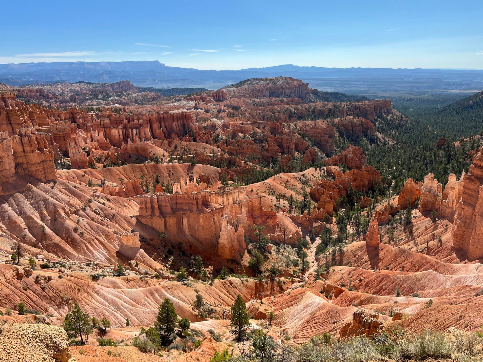 Bryce Canyon National Park 가족여행 | 아이들과 후두 사이 한여름 하이킹