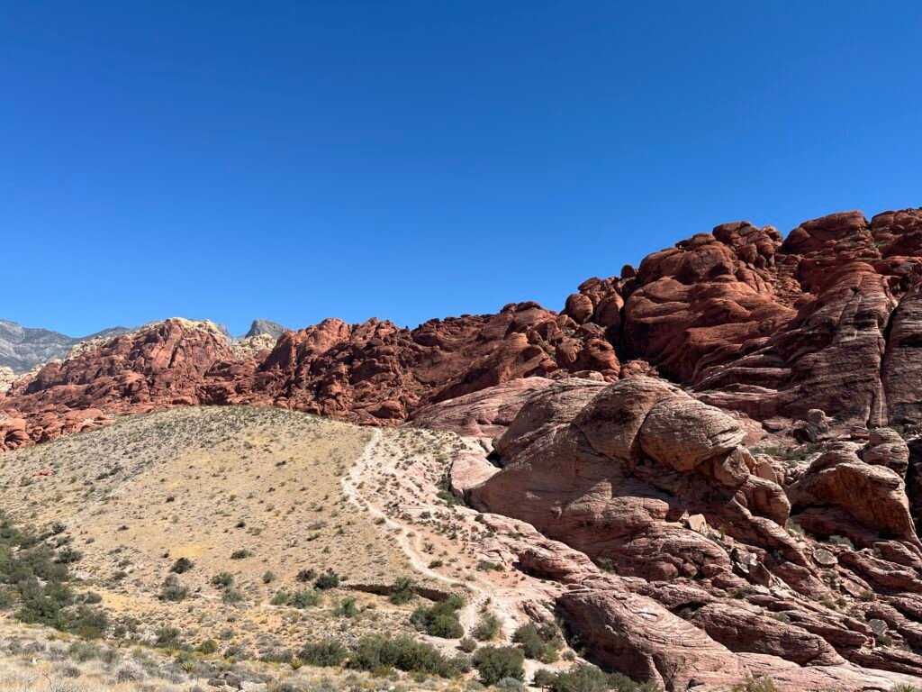 Red Rock Canyon의 붉은 사암과 암석층